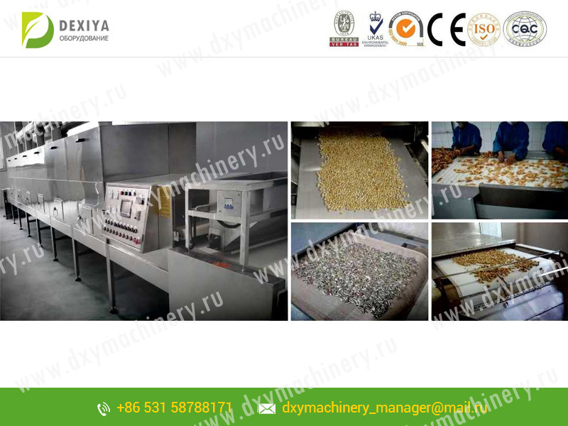 Microwave equipment for drying dried fruits