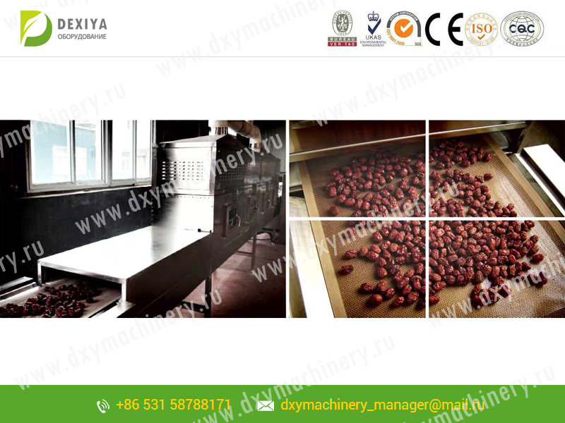 Microwave equipment for drying and sterilizing red dates