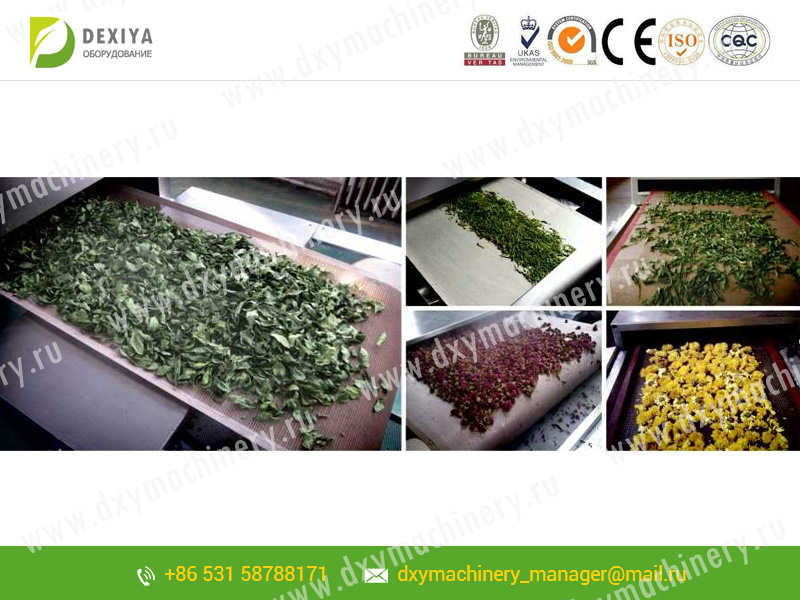 Microwave equipment for drying flower plants