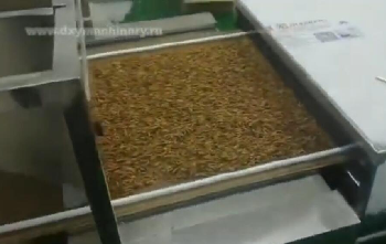 Microwave drying equipment for insects, fly maggots, black lion cubs, crickets, locusts ...